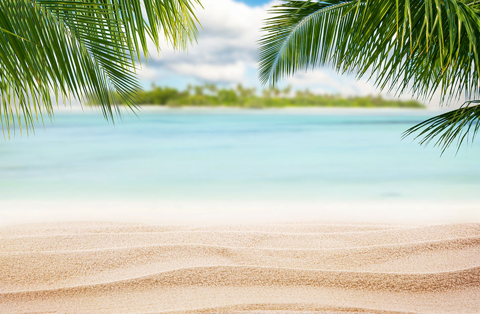 beach with palm trees and island in the background