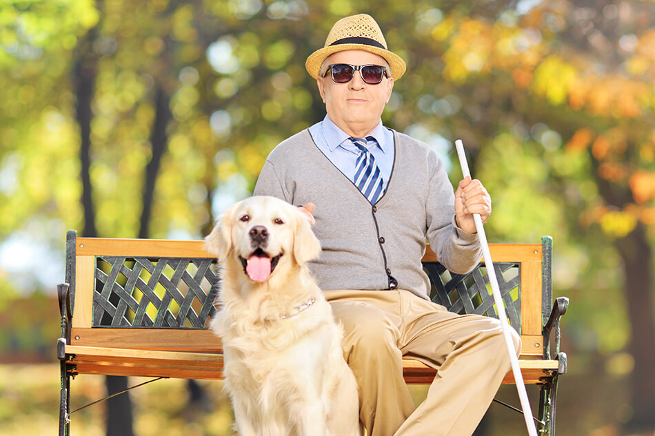 blind man on park bench with guide dog