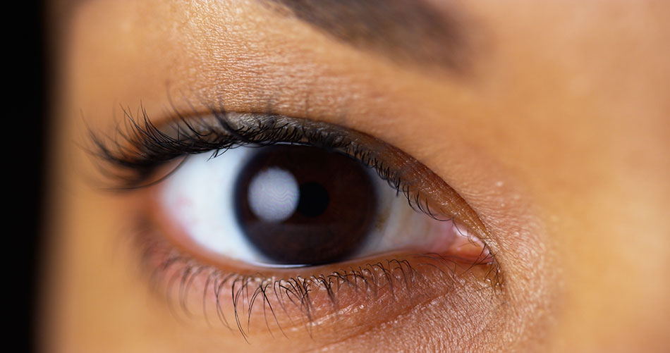 close-up of dark brown eye