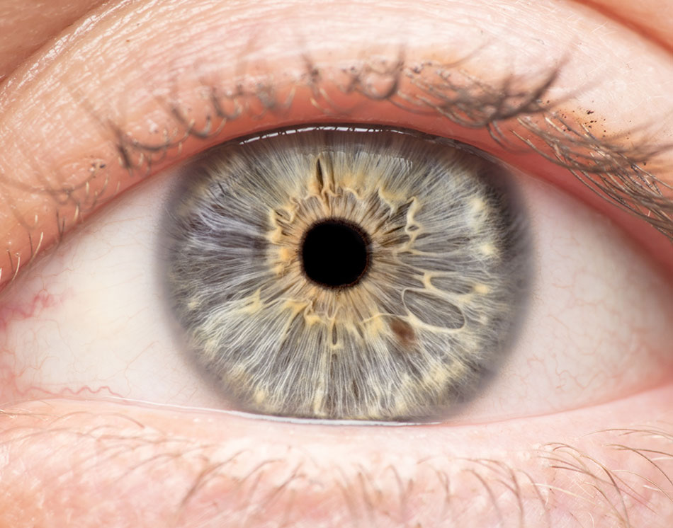 macro photo of human eye