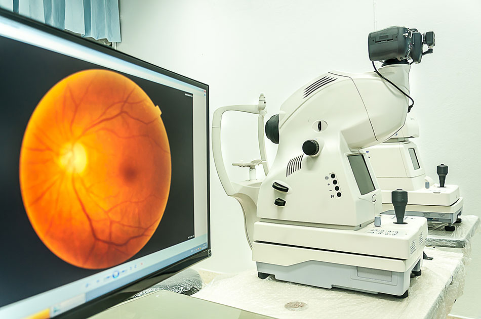 Fundus camera with retinal scan image display