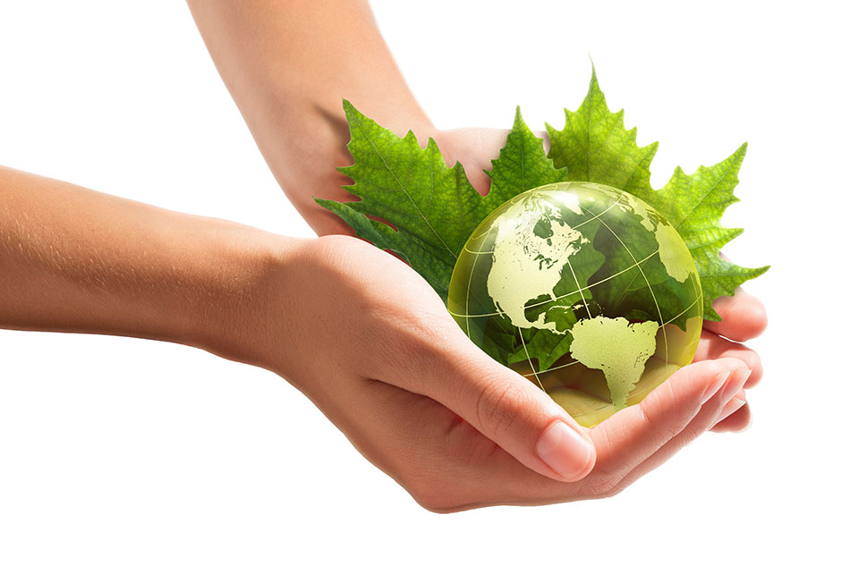 hands holding the globe and green leaves