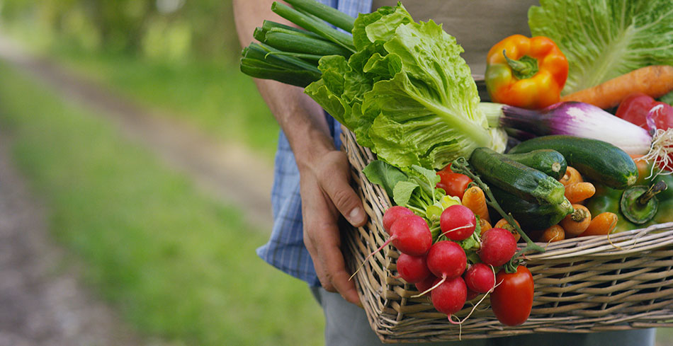 person carrying box of fresh vegetables