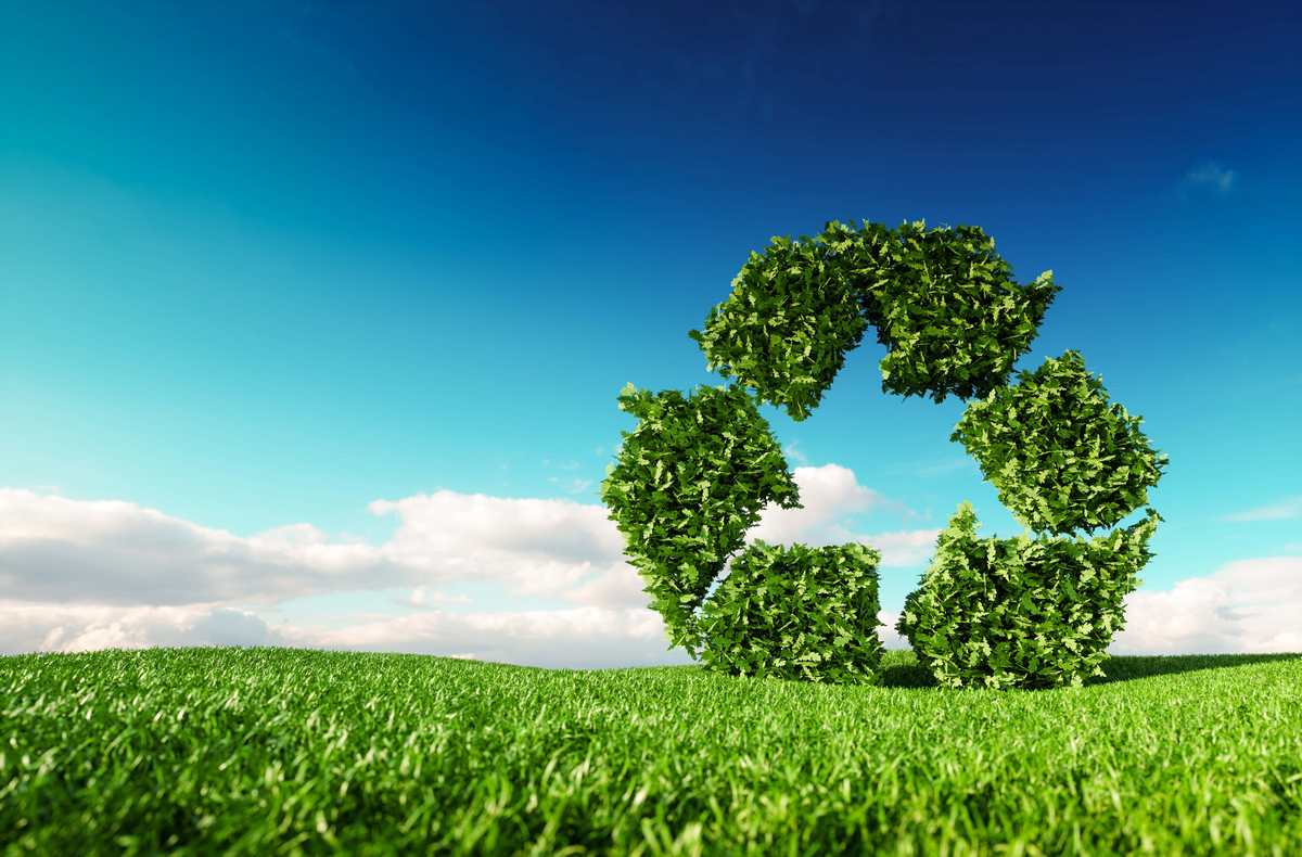 Vegetation forming recycling logo on green meadow with blue sky