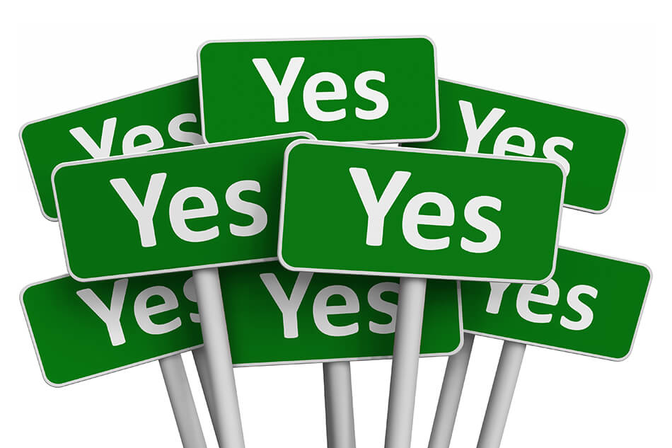 several green and white “yes” signs